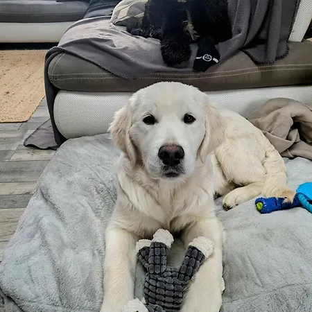 Escapade Charentaise