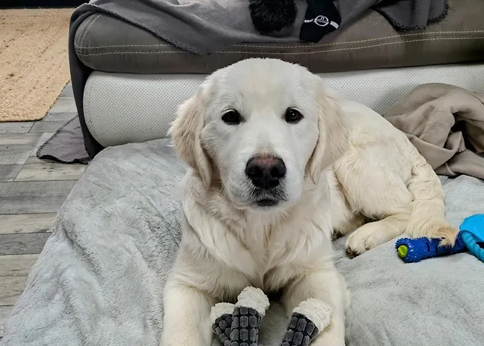 Escapade Charentaise